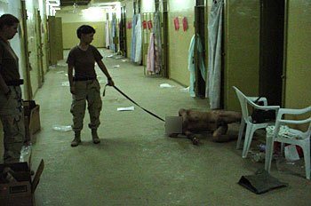 Photo showing prisoner abuse in Abu Ghraib prison, Iraq.