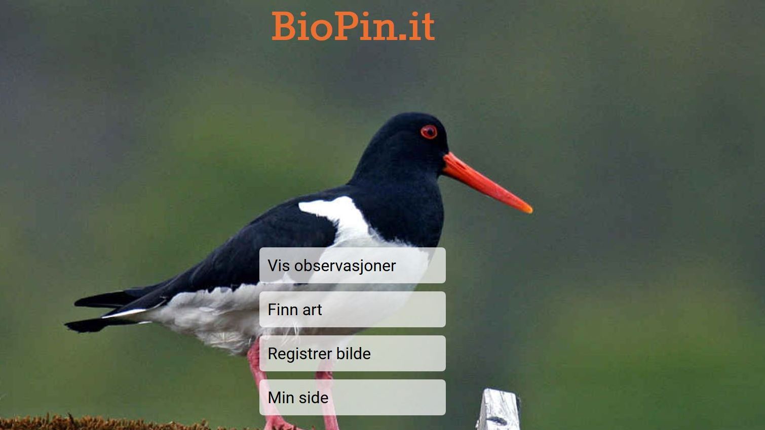Prisvinner #hack4no 2015: BioPin.it